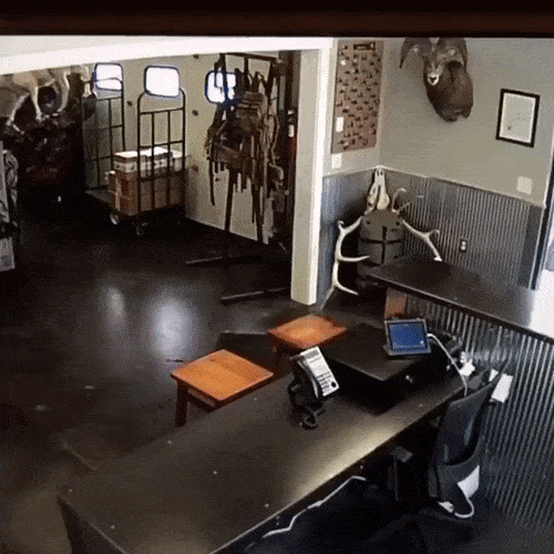 Epic Fails (18 gifs)