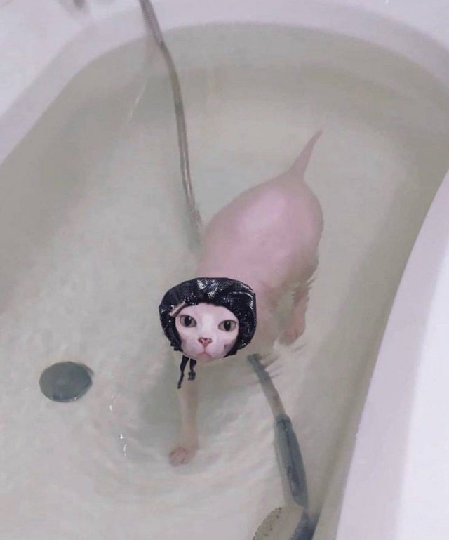 Acid Picdump. Part 1 (75 pics)
