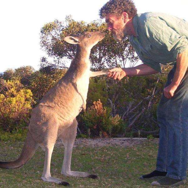 Acid Picdump. Part 1 (75 pics)