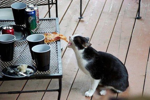 Acid Picdump. Part 1 (75 pics)
