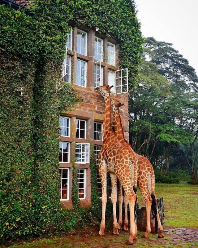 Acid Picdump. Part 1 (75 pics)