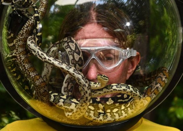 Acid Picdump. Part 1 (75 pics)