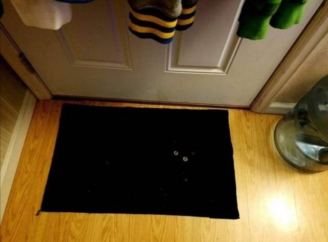 Acid Picdump. Part 1 (75 pics)