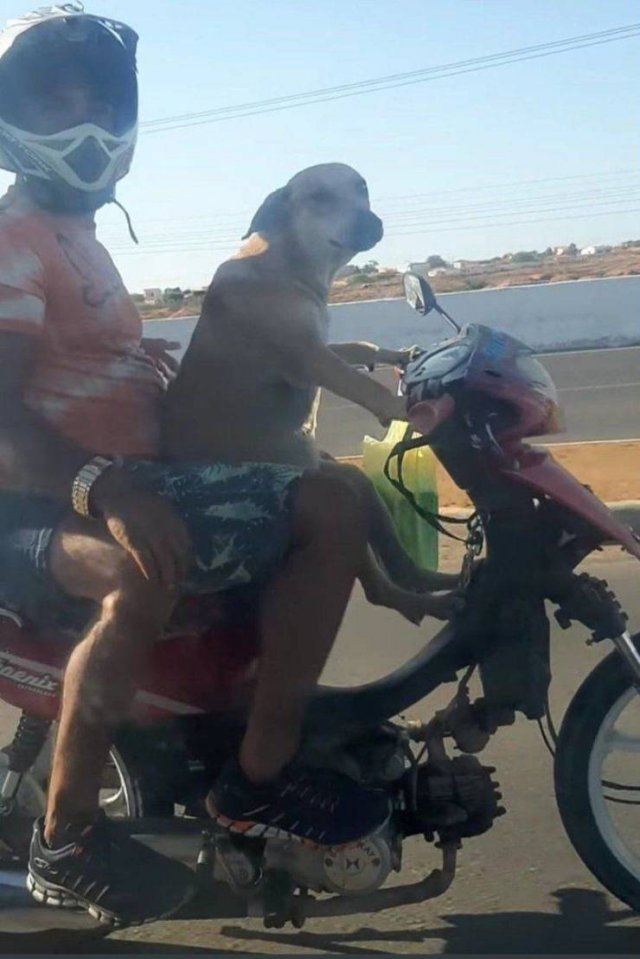 Acid Picdump. Part 1 (75 pics)