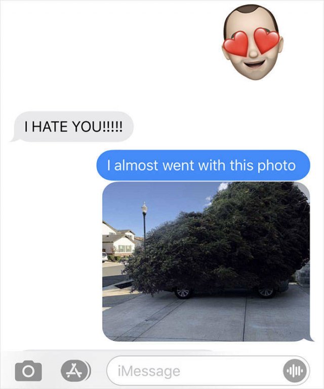 Dad's Christmas Tree Shopping Gone Wrong (7 pics)