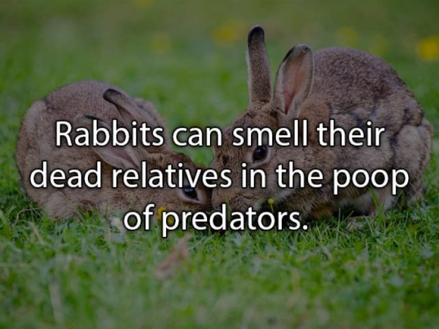 Real Life Facts That Will Be Interesting For You (24 pics)