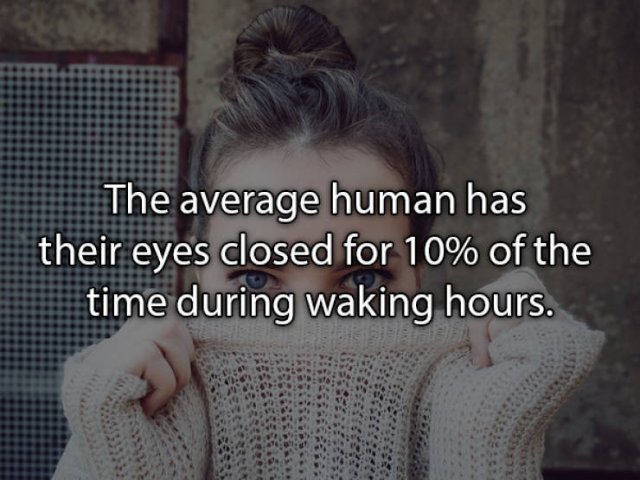 Real Life Facts That Will Be Interesting For You (24 pics)