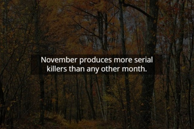 Scary Facts (15 pics)