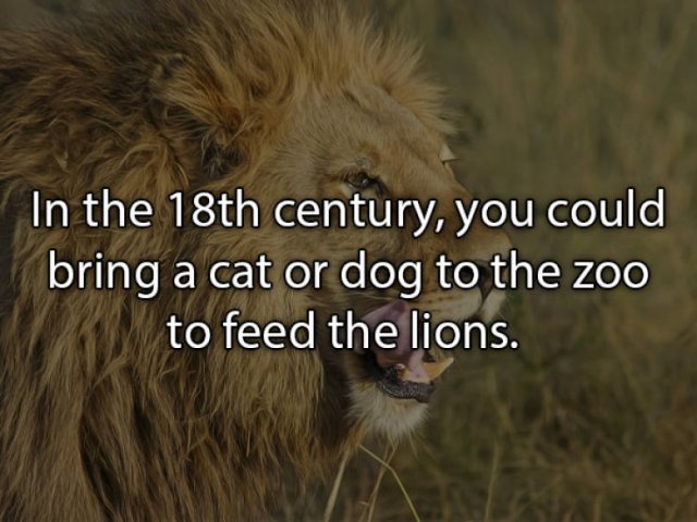 Real Life Facts That Will Be Interesting For You (24 pics)