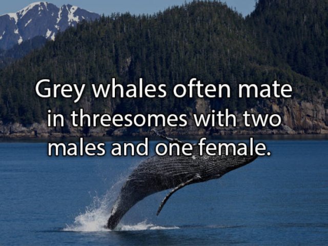 real-life-facts-that-will-be-interesting-for-you-24-pics