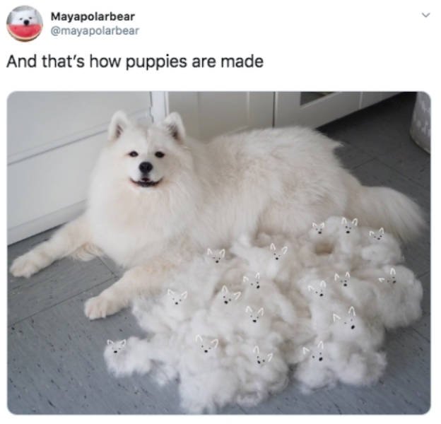 Funny Tweets Compilation (50 pics)