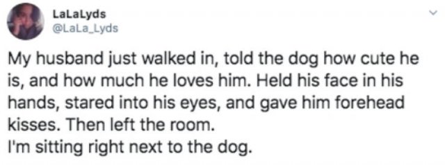 Funny Tweets Compilation (50 pics)