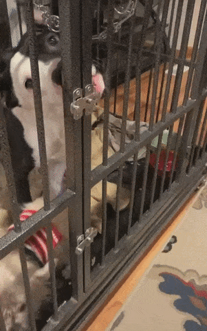 Acid Gifdump, December 3 (25 gifs)