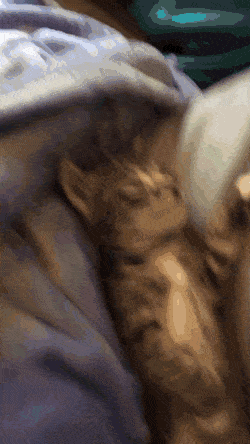 Acid Gifdump, December 3 (25 gifs)