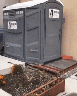 Acid Gifdump, December 3 (25 gifs)