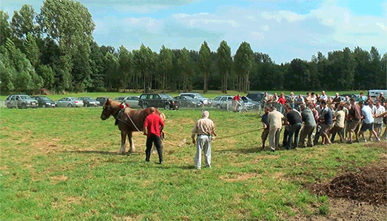 Acid Gifdump, December 3 (25 gifs)