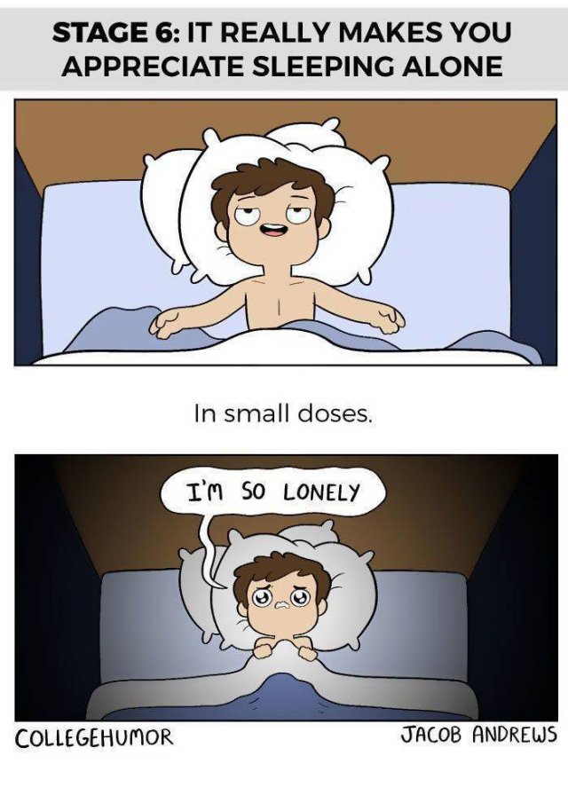 Terrible Moments Of Together Sleeping (26 pics)