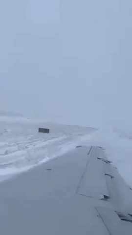 Scary And Unexpected Moments (15 gifs)