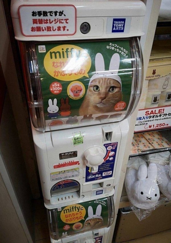 Welcome To Japan (36 pics)