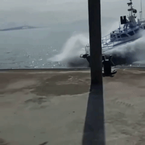 Scary And Unexpected Moments (15 gifs)