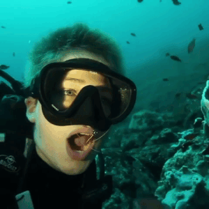 Scary And Unexpected Moments (15 gifs)