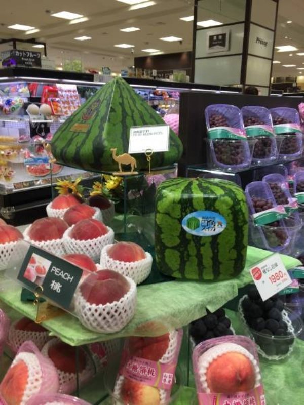 Welcome To Japan (36 pics)