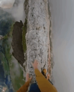 Scary And Unexpected Moments (15 gifs)