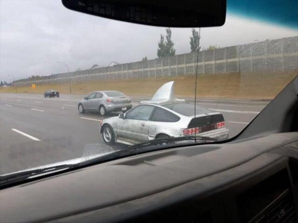 Show Me Your Weird Car (40 pics)