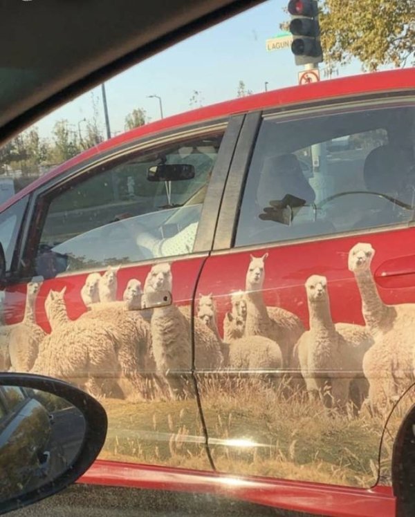 Show Me Your Weird Car (40 pics)