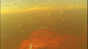 Scary And Unexpected Moments (15 gifs)