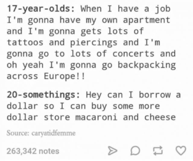 Delicious Mac And Cheese Memes (31 pics)