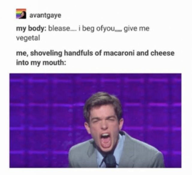 Delicious Mac And Cheese Memes 31 Pics