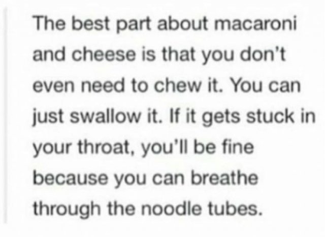 Delicious Mac And Cheese Memes (31 pics)