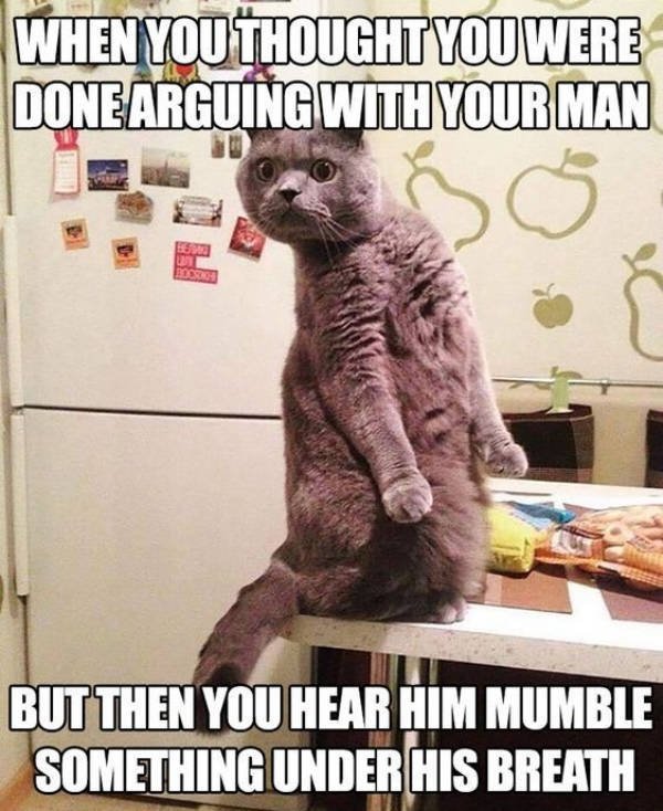 Sorry-Not Sorry Memes About Marriage (23 pics)