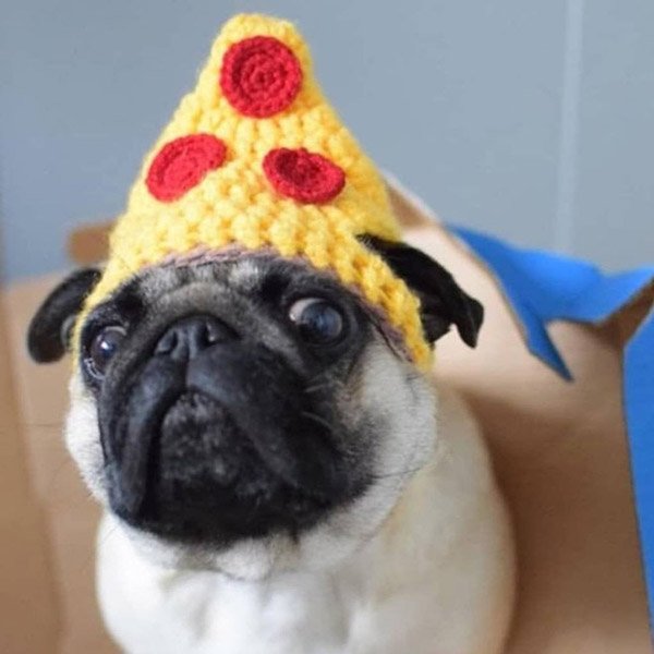 For Sure Your Pet Needs One Of These Croched Hats (27 pics)