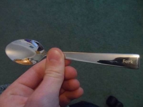 Smart Or Stupid? (41 pics)