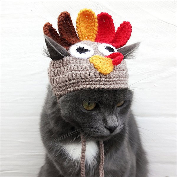 For Sure Your Pet Needs One Of These Croched Hats (27 pics)