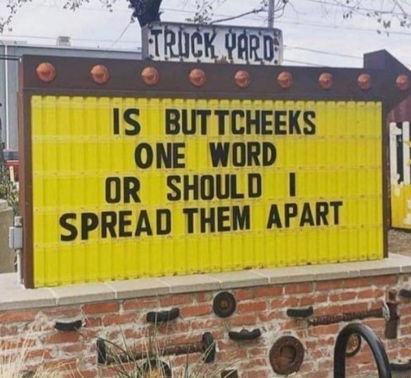 Smart Or Stupid? (41 pics)