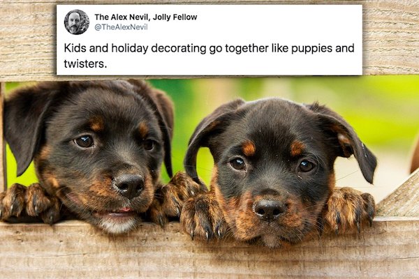 Christmas Decorating May Be Sickening (23 pics)