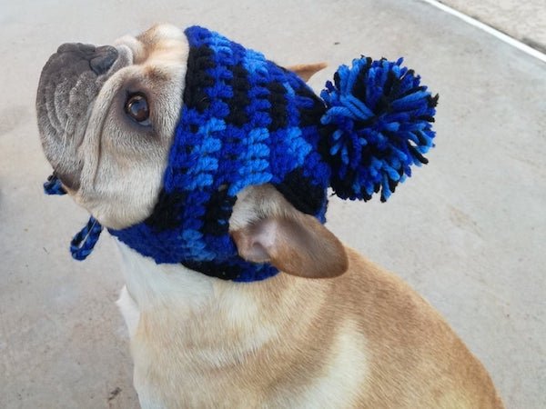For Sure Your Pet Needs One Of These Croched Hats (27 pics)