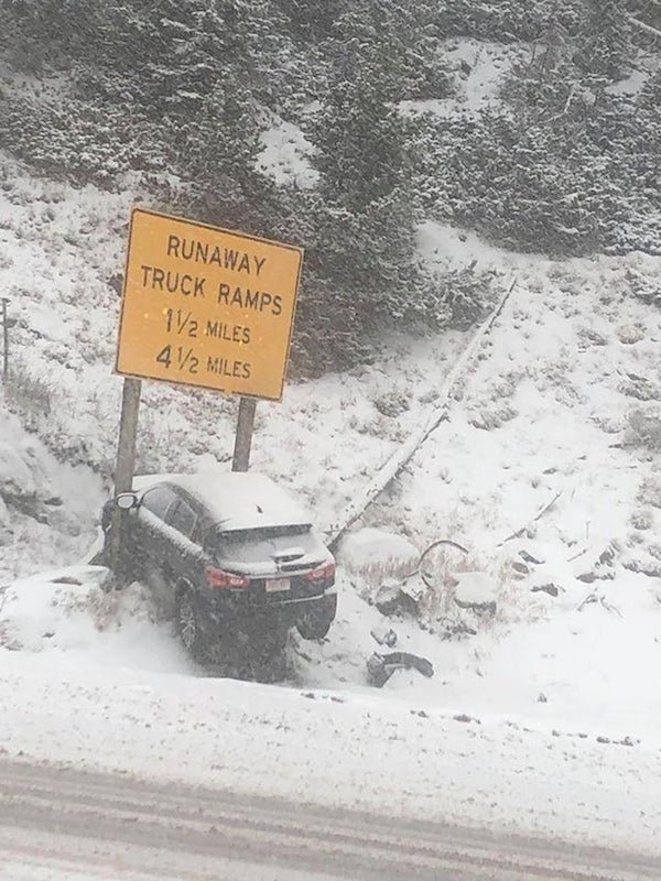 Smart Or Stupid? (41 pics)