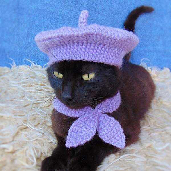 For Sure Your Pet Needs One Of These Croched Hats (27 pics)
