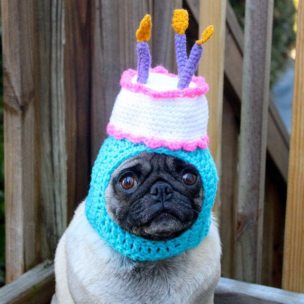 For Sure Your Pet Needs One Of These Croched Hats (27 pics)