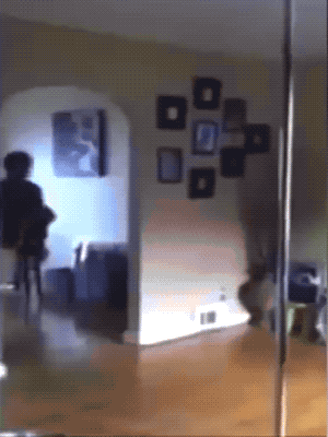 When Pole Dancing Goes Wrong (18 gifs)