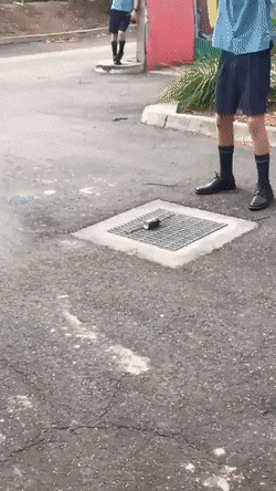 Acid Gifdump, December 5 (25 gifs)