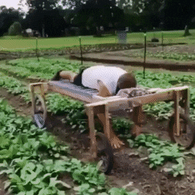 Acid Gifdump, December 5 (25 gifs)