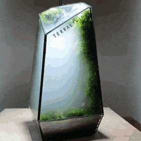 Acid Gifdump, December 5 (25 gifs)