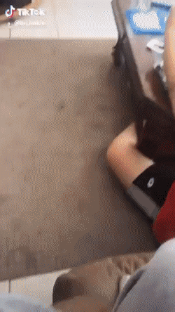 Acid Gifdump, December 5 (25 gifs)