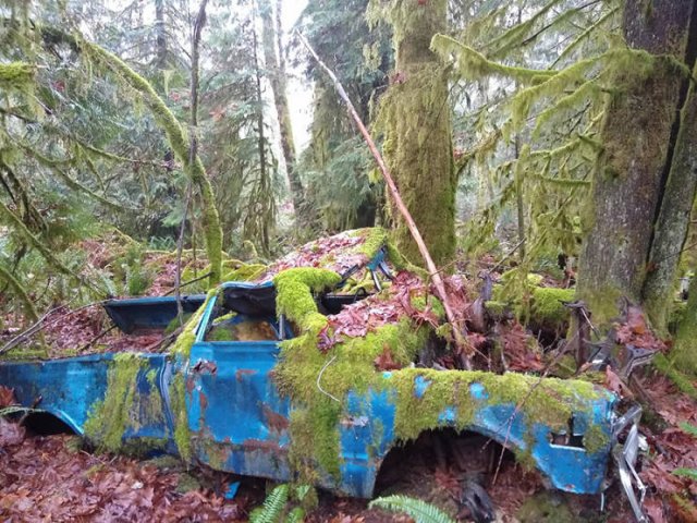 Acid Picdump. Part 2 (97 pics)