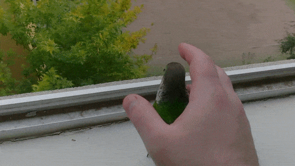 Acid Gifdump, December 6 (25 gifs)